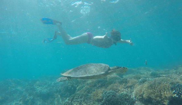 Gili Trawangan, Gili Meno, dan Gili Air Open Trip Lombok