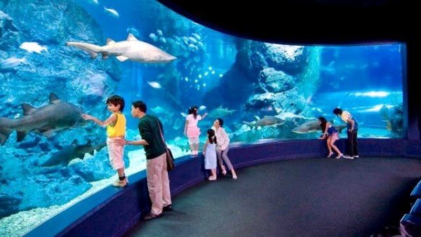 SEA LIFE Bangkok Ocean World