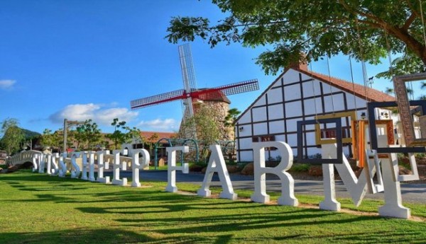Swiss Sheep Farm Pattaya